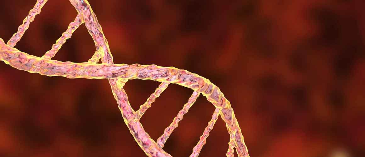 Genetik DNA Strang